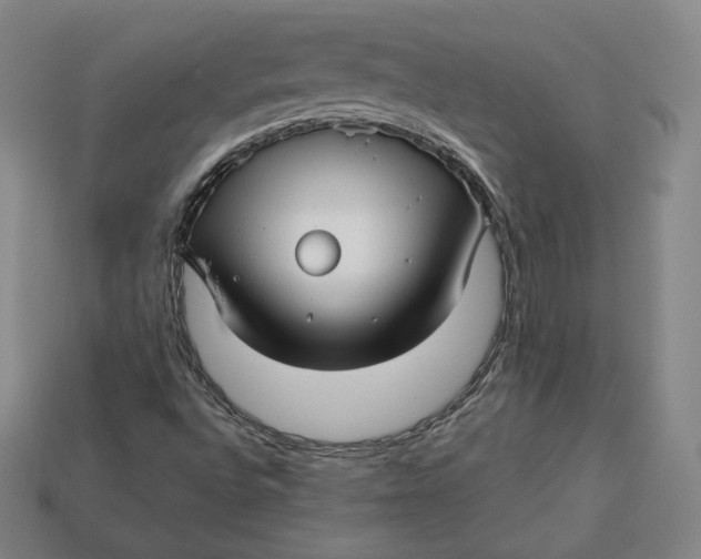 X0000112761496200909101519