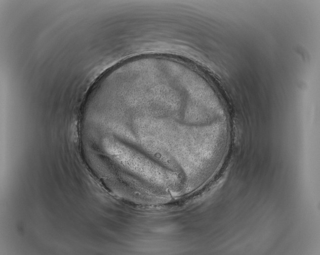 X0000112761497200909101519