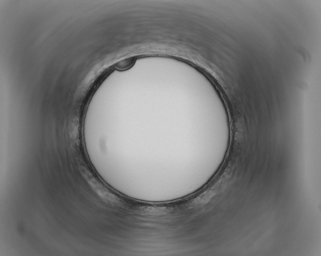 X0000112761499200909101519