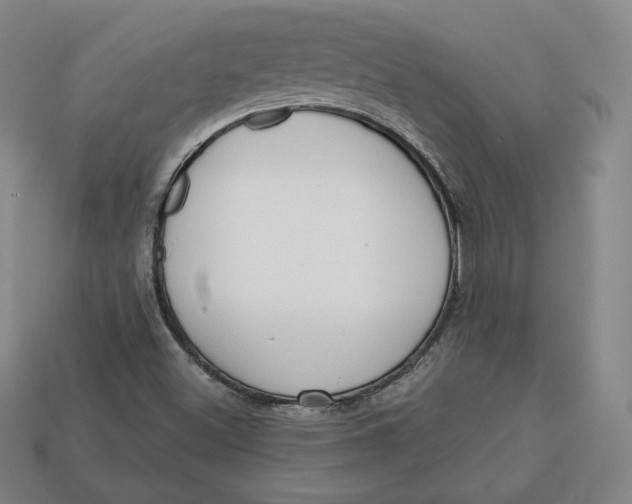 X0000112761500200909101519