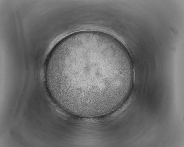 X0000112761501200909101519