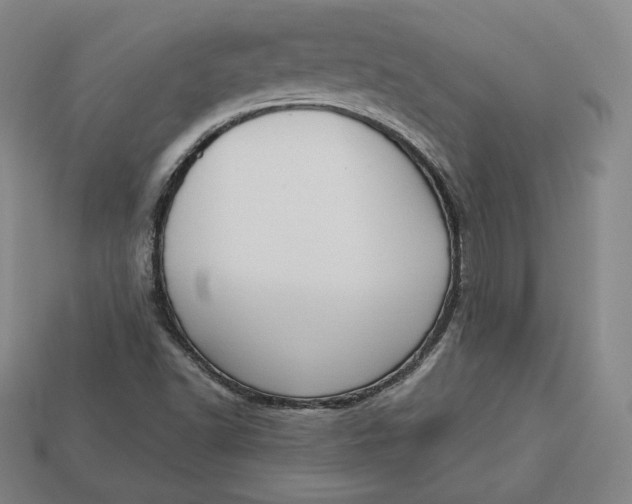 X0000112761502200909101519