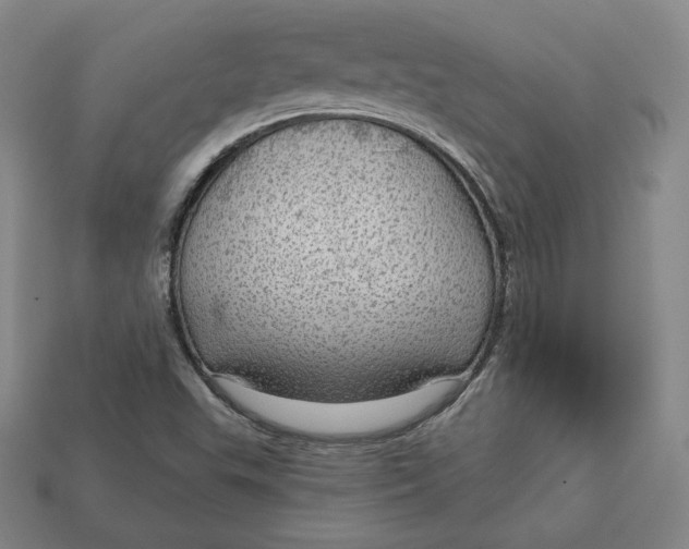 X0000112761503200909101519