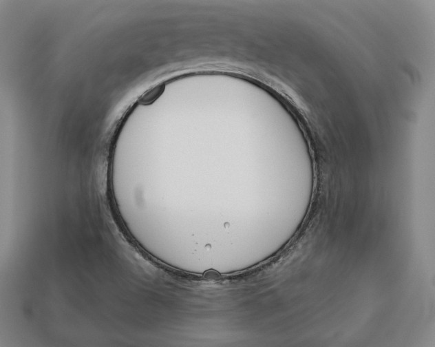 X0000112761504200909101519