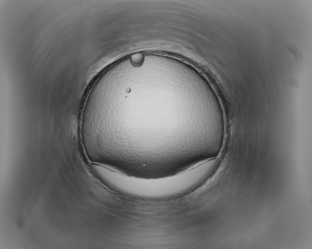 X0000112761505200909101519