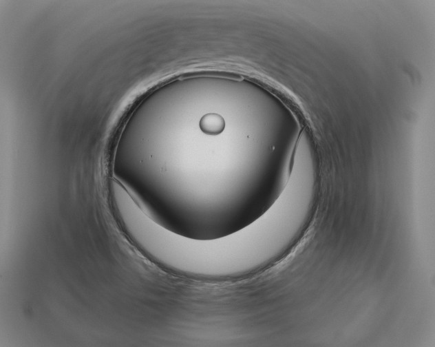 X0000112761506200909101519