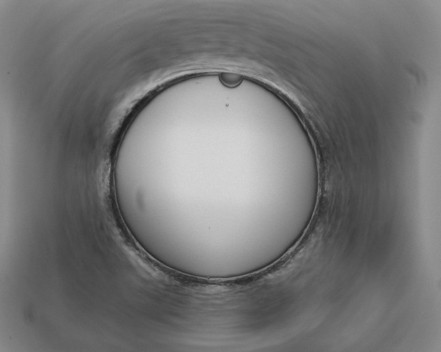X0000112761507200909101519