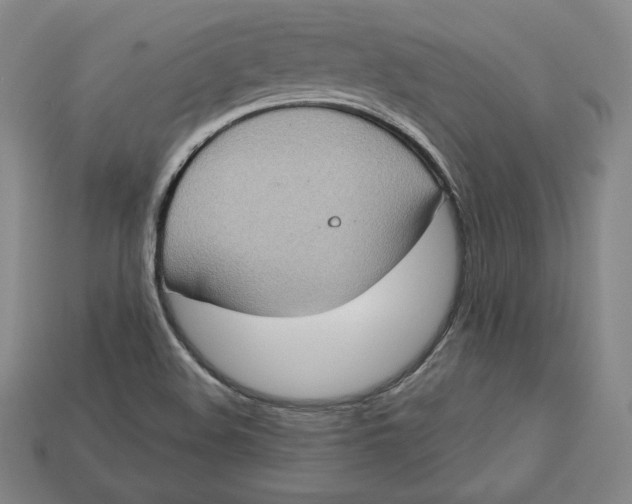 X0000112761508200909101519
