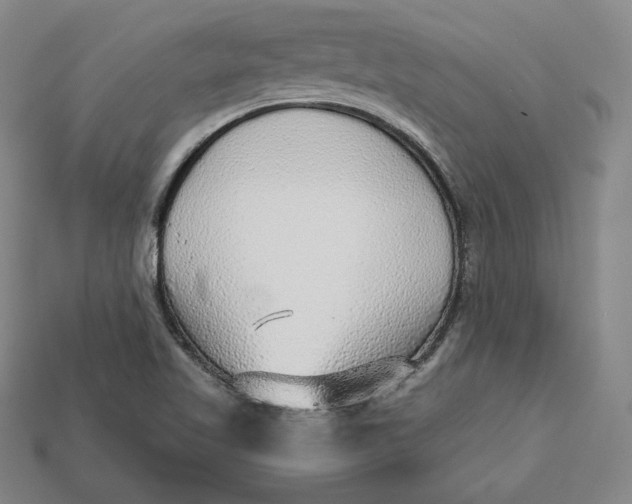 X0000112761509200909101519
