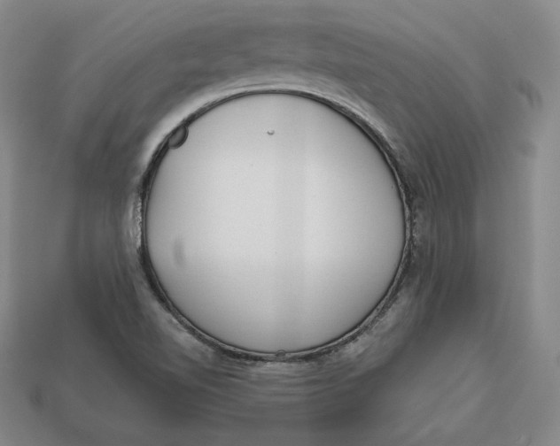 X0000112761510200909101519