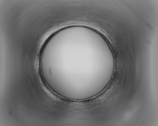 X0000112761511200909101519