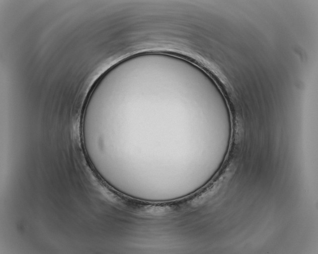 X0000112761513200909101519