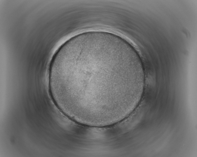 X0000112761514200909101519