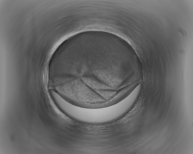 X0000112761515200909101519