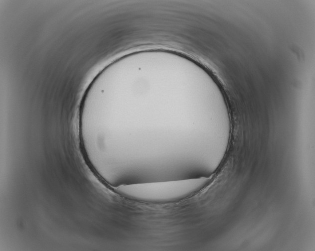 X0000112761516200909101519