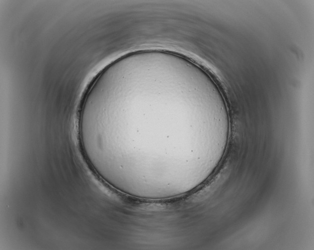 X0000112761517200909101519