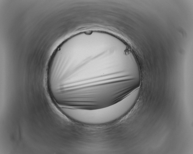 X0000112761518200909101519