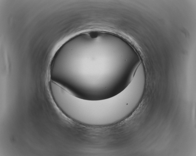 X0000112761520200909101519