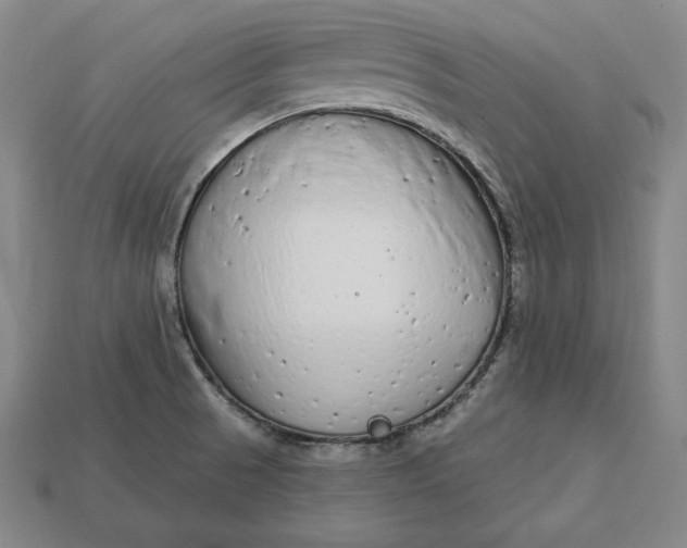 X0000112761521200909101520