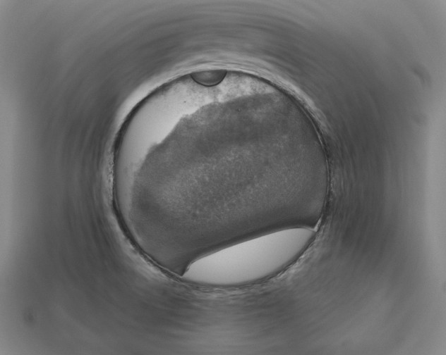 X0000112761522200909101520