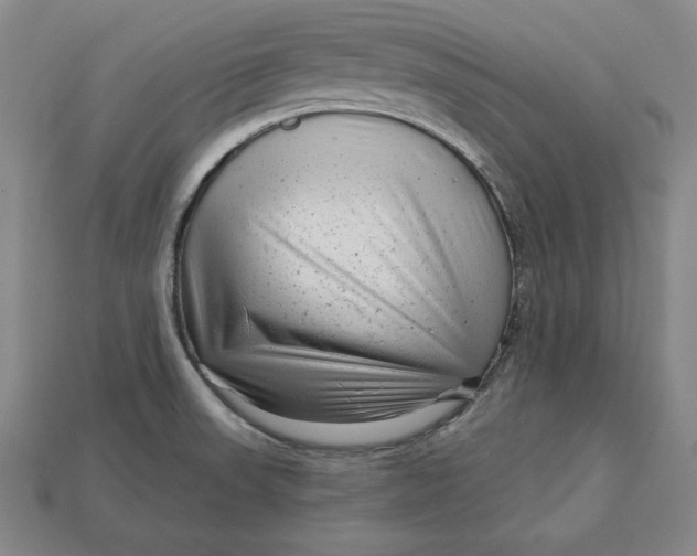 X0000112761523200909101520
