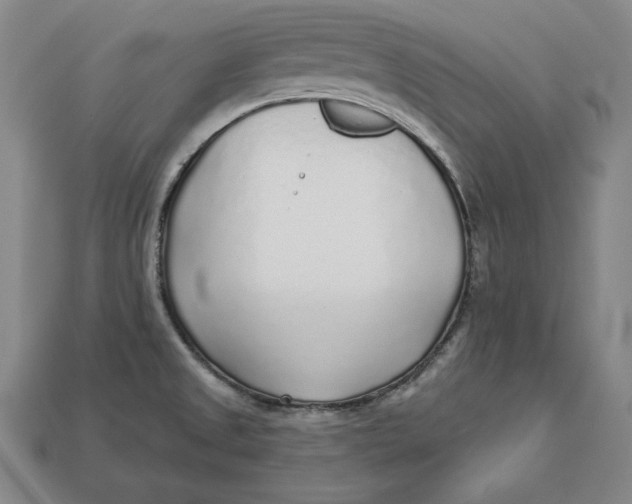 X0000112761525200909101520