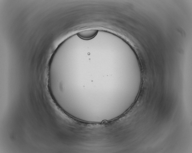 X0000112761526200909101520