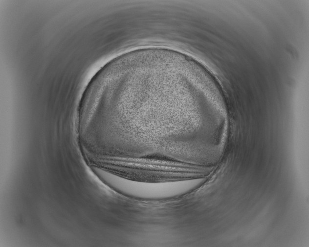X0000112761527200909101520