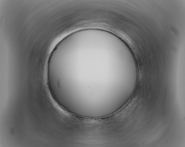X0000112761528200909101520