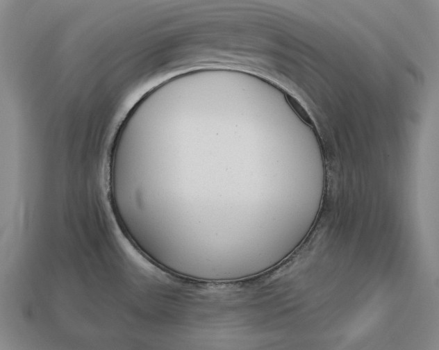 X0000112761531200909101520