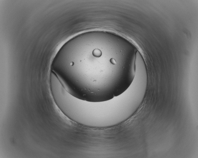 X0000112761532200909101520