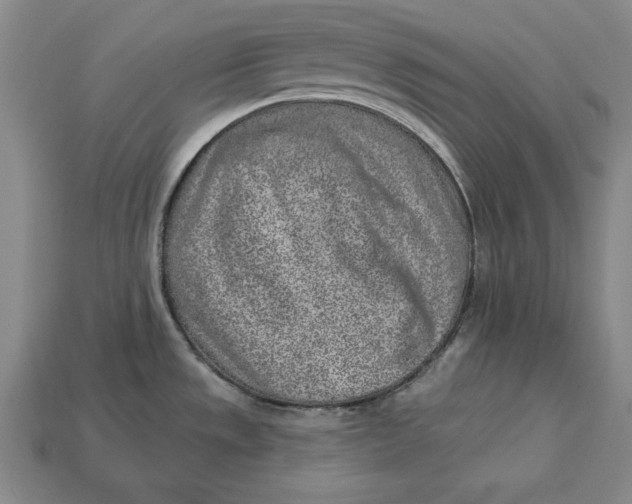 X0000112761533200909101520