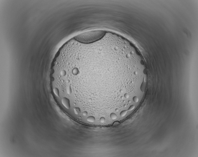 X0000112761534200909101520