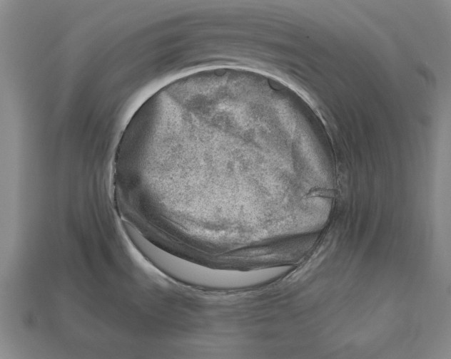 X0000112761535200909101520