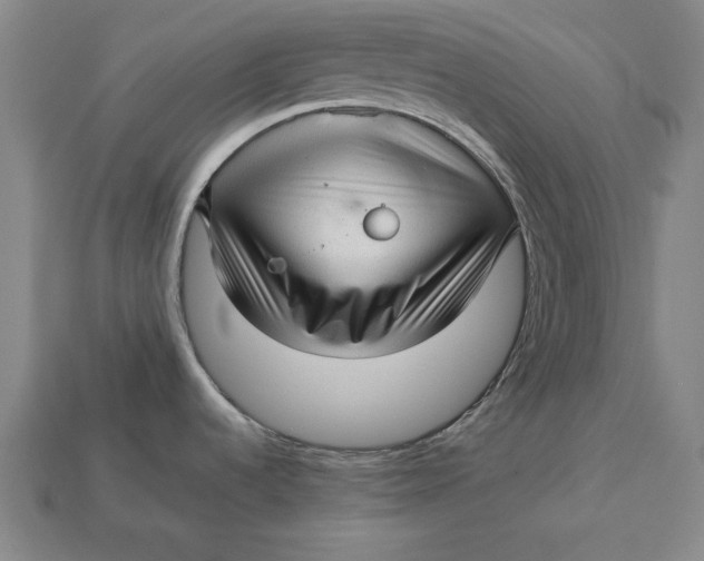 X0000112761536200909101520
