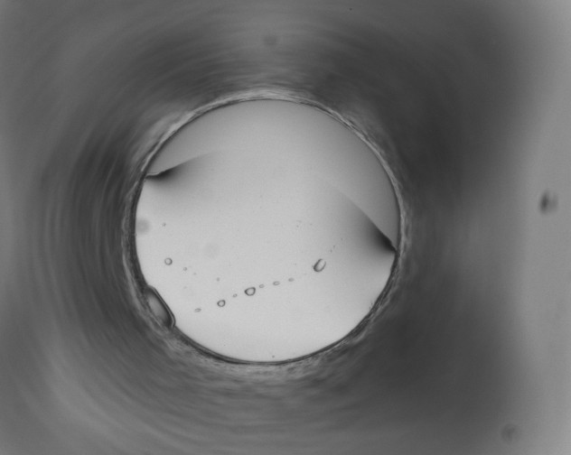 X0000112760001200909171300