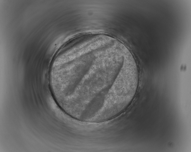 X0000112760002200909171300