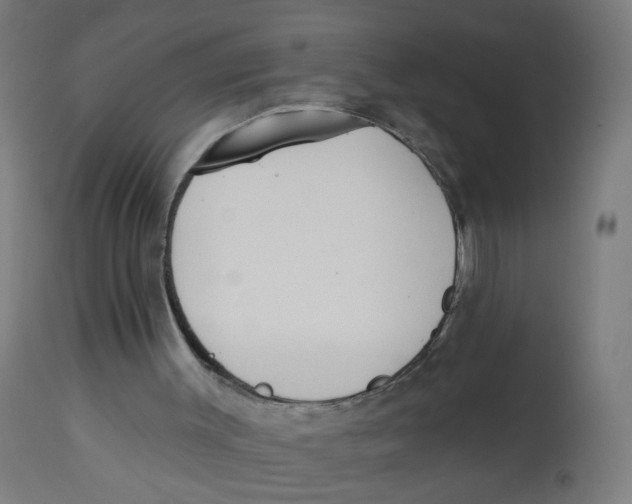 X0000112760003200909171300