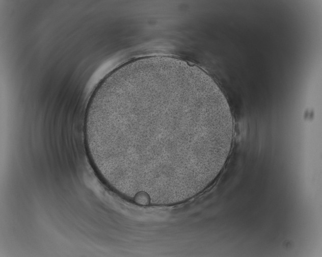 X0000112760004200909171300