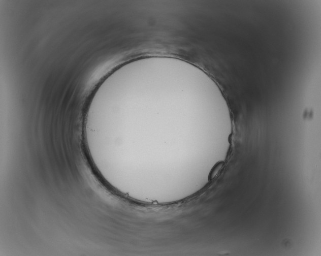 X0000112760005200909171300