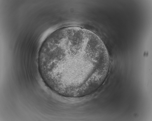 X0000112760006200909171300