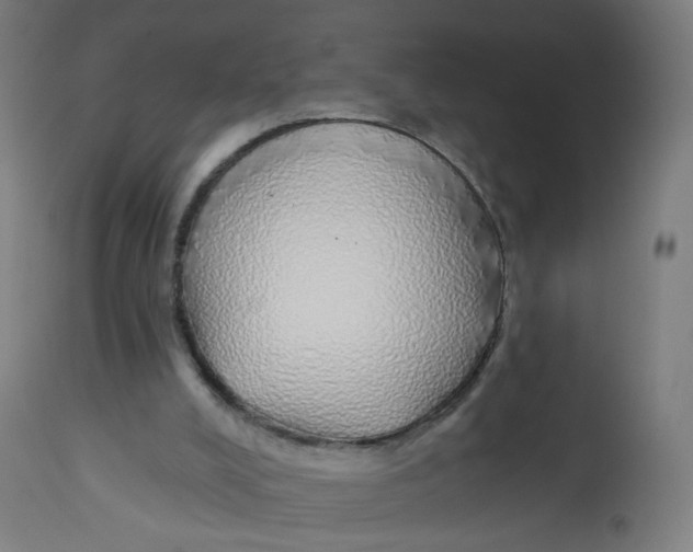 X0000112760008200909171300