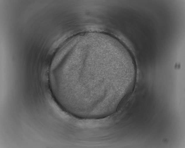X0000112760009200909171300