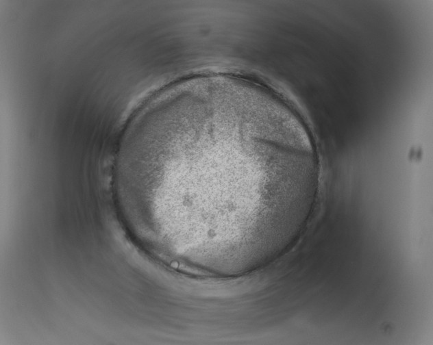 X0000112760010200909171300