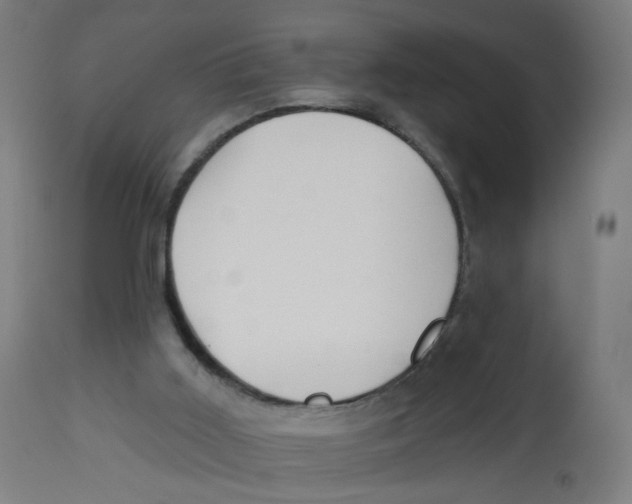 X0000112760011200909171300