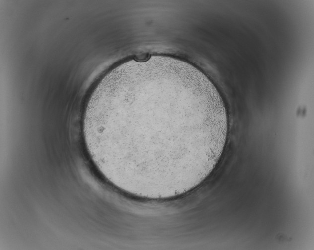 X0000112760012200909171300