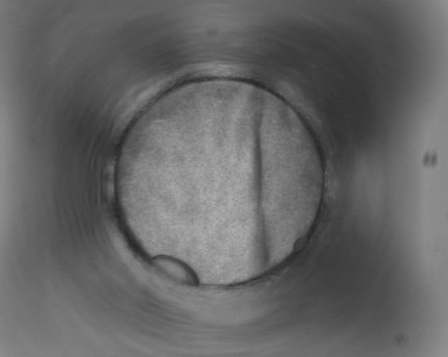 X0000112760014200909171300