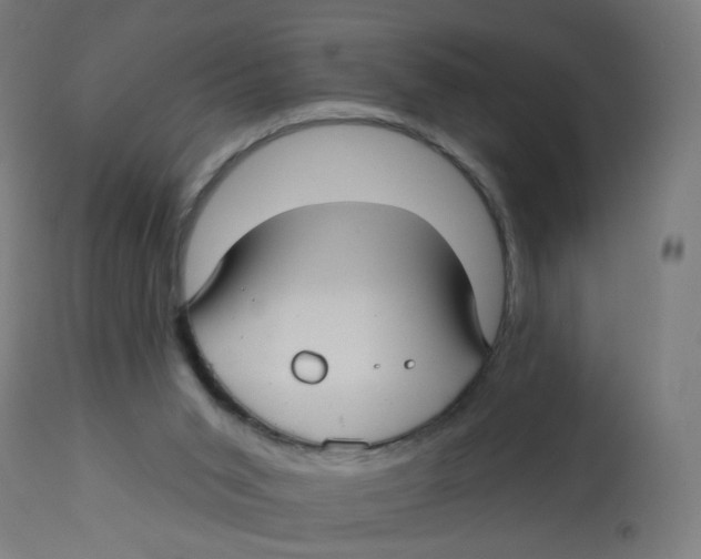 X0000112760015200909171300