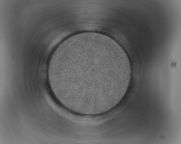 X0000112760016200909171300