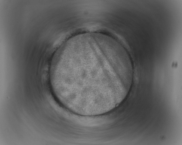 X0000112760018200909171300